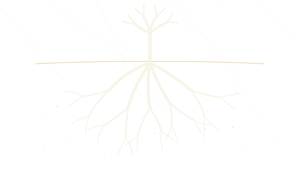 Illustration au trait : un jeune arbre dont le systeme racinaire, bien plus vaste que la partie visible, s etend sous une ligne d horizon