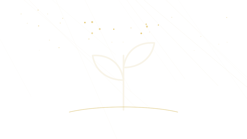 Illustration au trait : une jeune pousse à deux feuilles sortant du sol